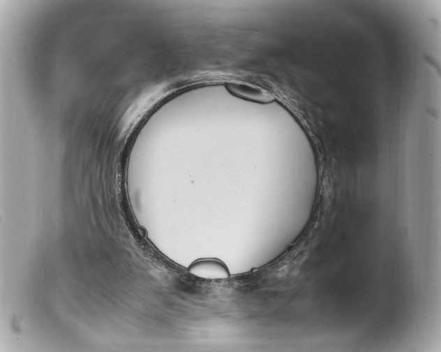 X0000099550103200805301529