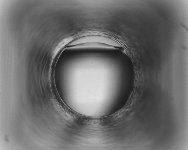 X0000099550104200805301529