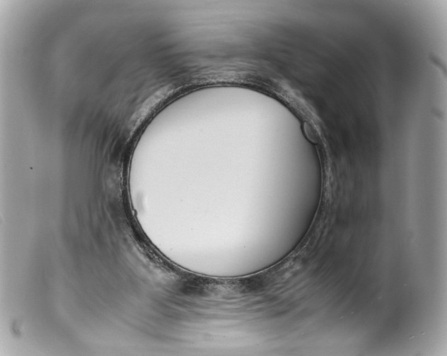 X0000099550107200805301529