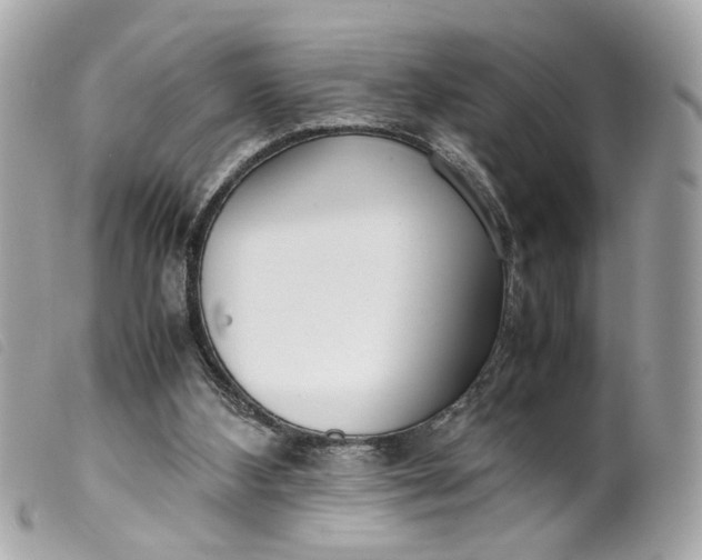 X0000099550108200805301529