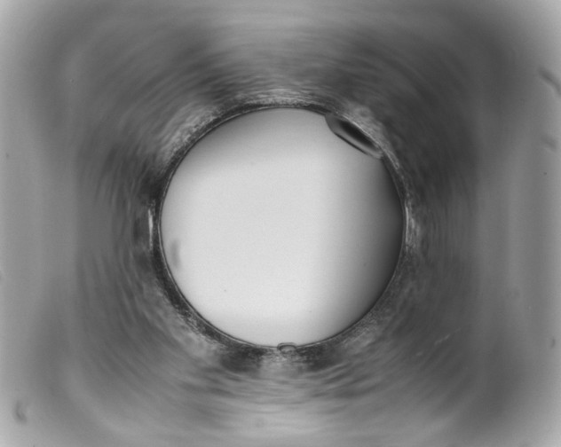 X0000099550109200805301529