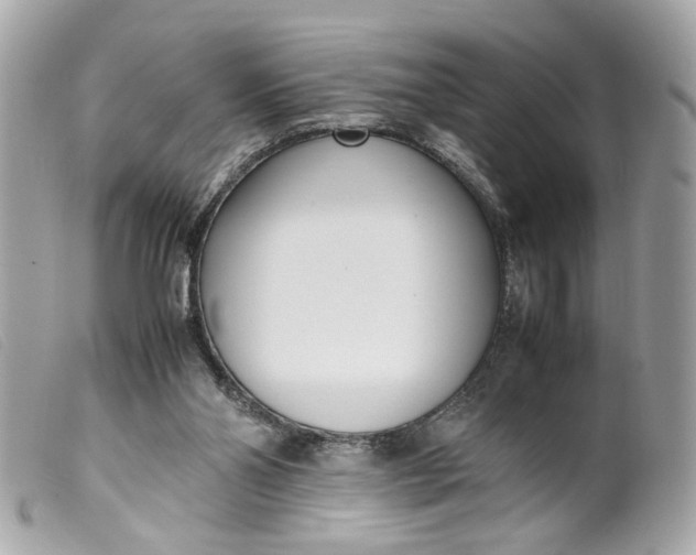 X0000099550110200805301529