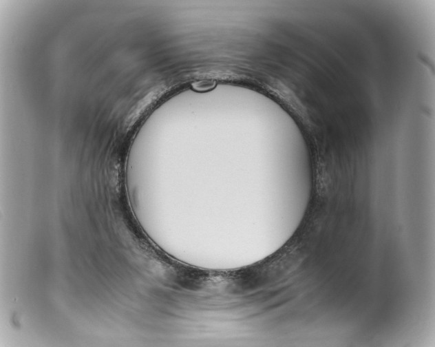 X0000099550111200805301529