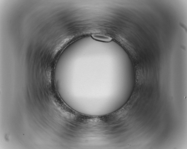 X0000099550112200805301529