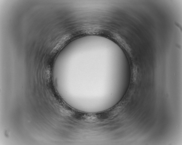 X0000099550113200805301529