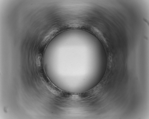 X0000099550114200805301529