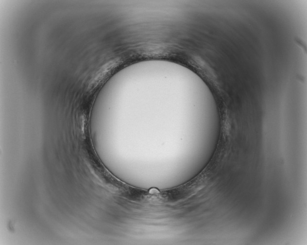 X0000099550115200805301529