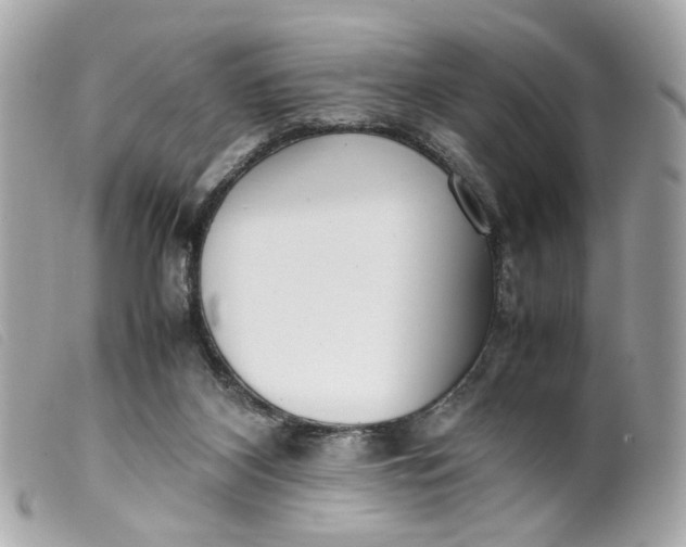 X0000099550116200805301528