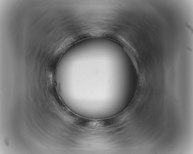 X0000099550117200805301528