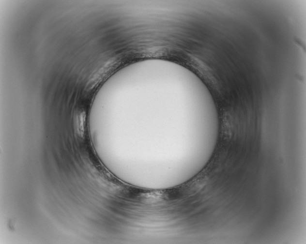 X0000099550118200805301528