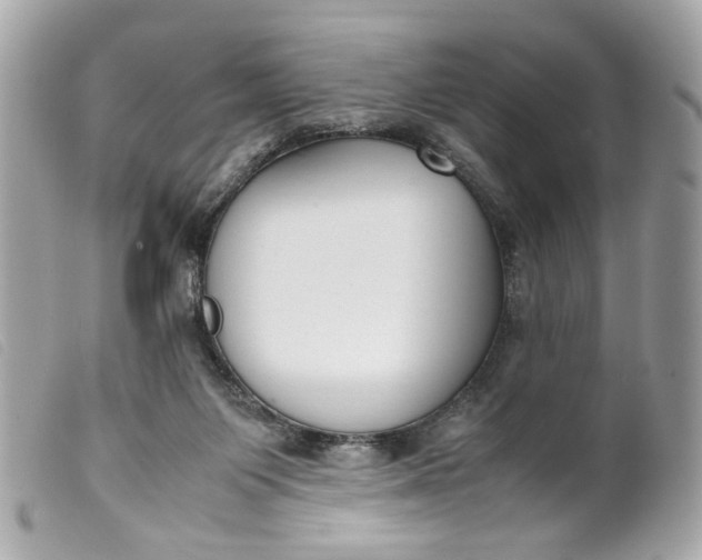 X0000099550119200805301528