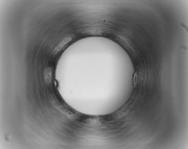 X0000099550120200805301528