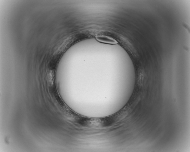 X0000099550121200805301528