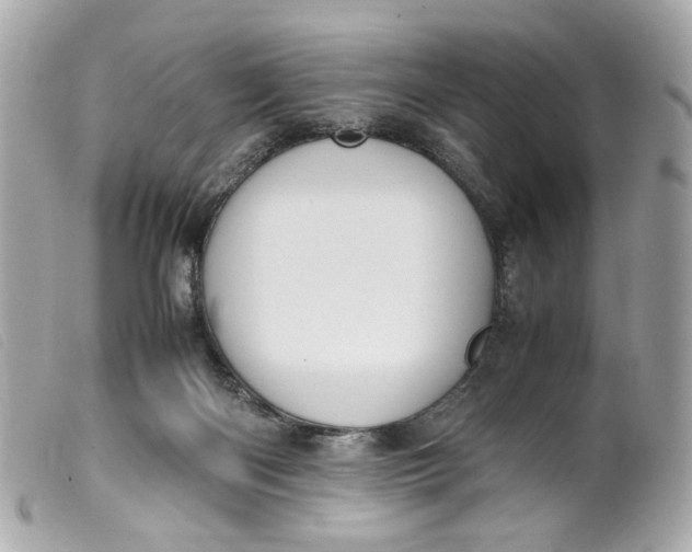 X0000099550122200805301528