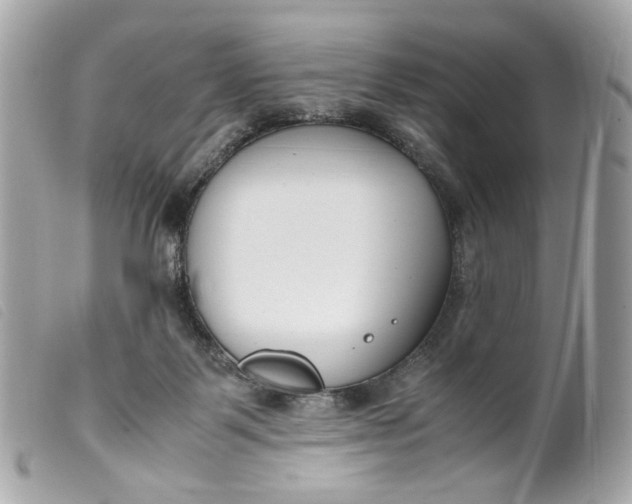 X0000099550123200805301528