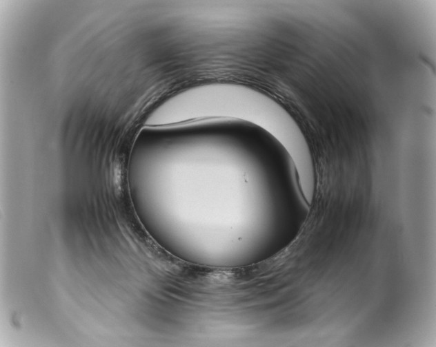 X0000099550124200805301528