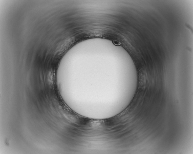 X0000099550126200805301528