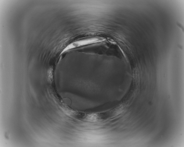 X0000099550127200805301528