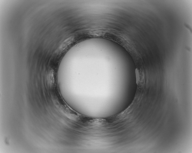 X0000099550128200805301528