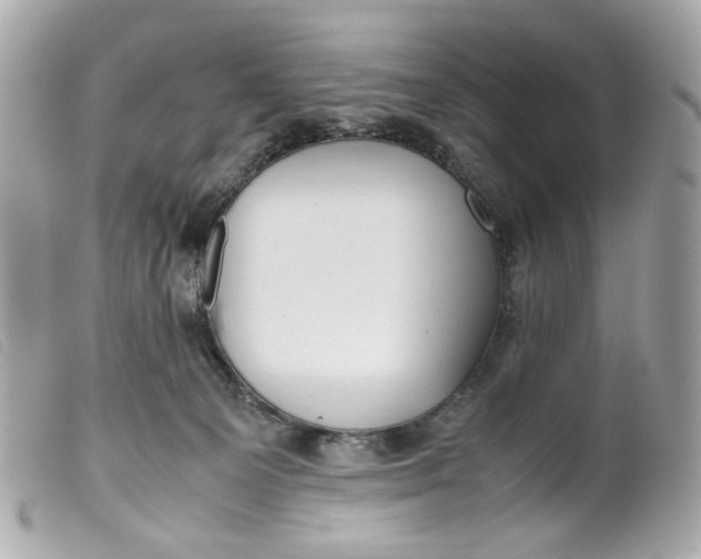 X0000099550129200805301528