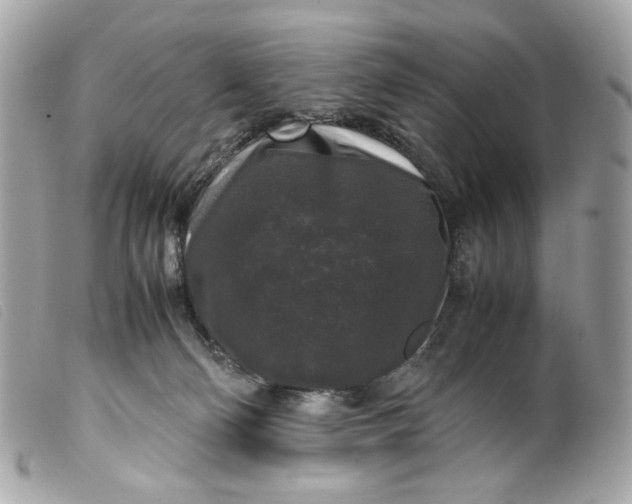 X0000099550130200805301528