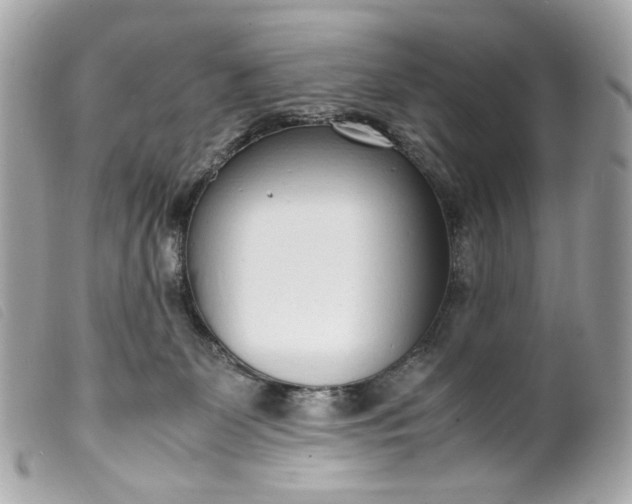 X0000099550131200805301528