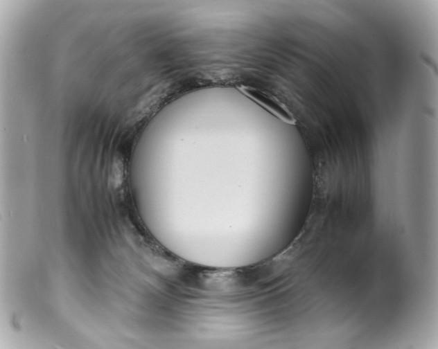 X0000099550132200805301528