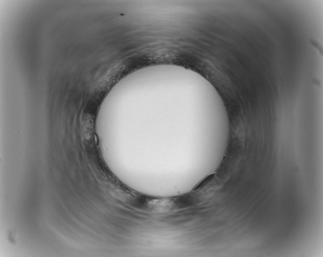 X0000099550133200805301528