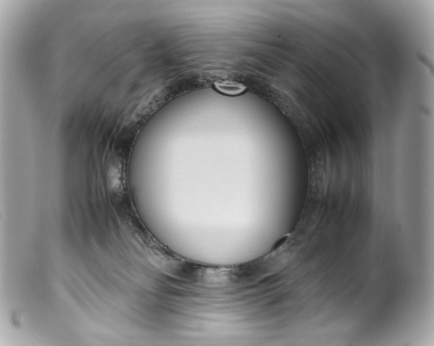 X0000099550134200805301528