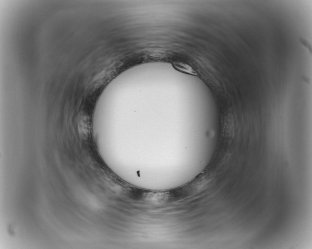 X0000099550135200805301528