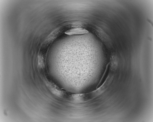 X0000099550136200805301528