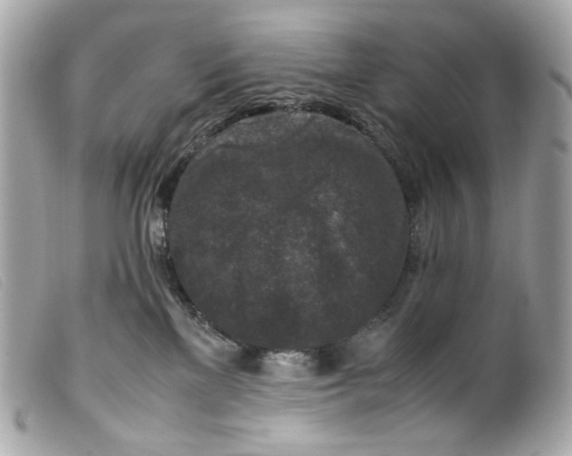 X0000099550137200805301528