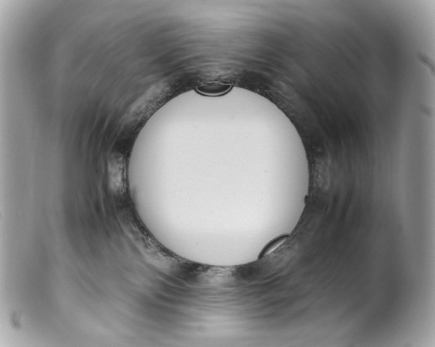 X0000099550138200805301528