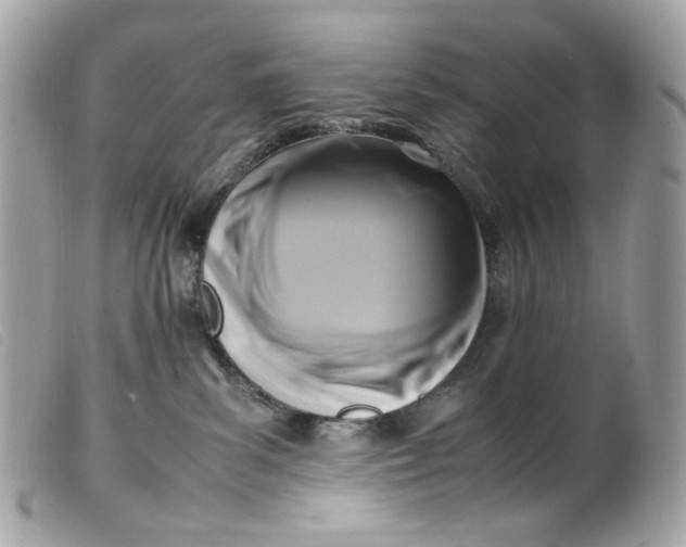 X0000099550139200805301528