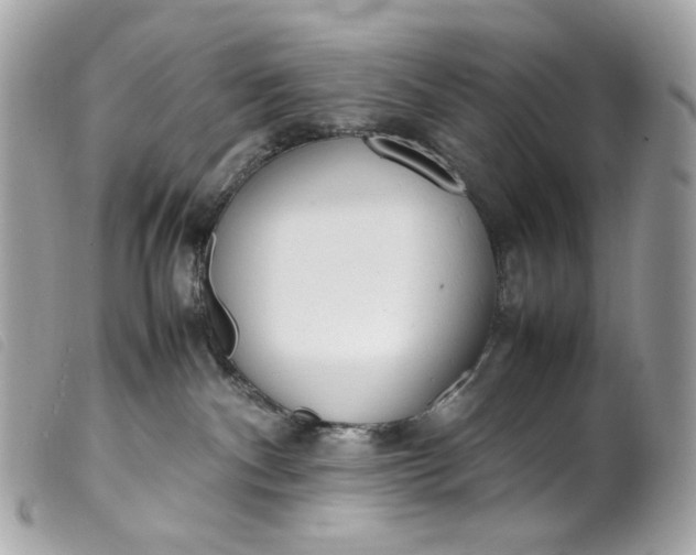 X0000099550140200805301528