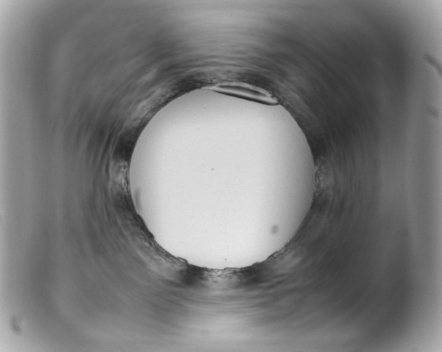 X0000099550141200805301528