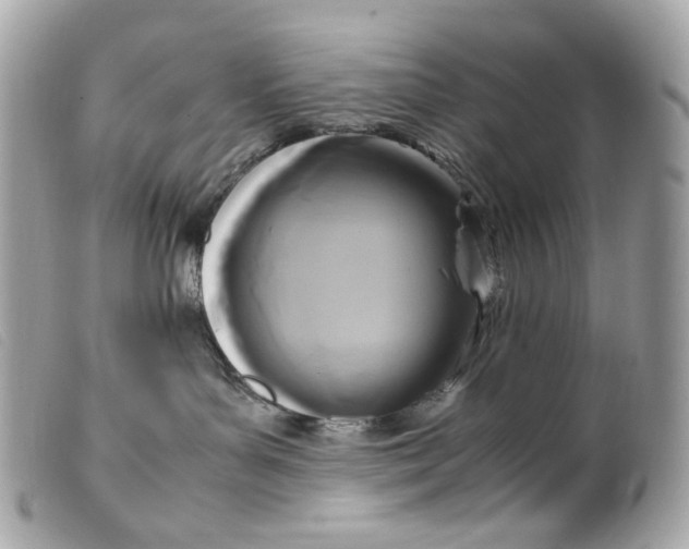 X0000099550143200805301528