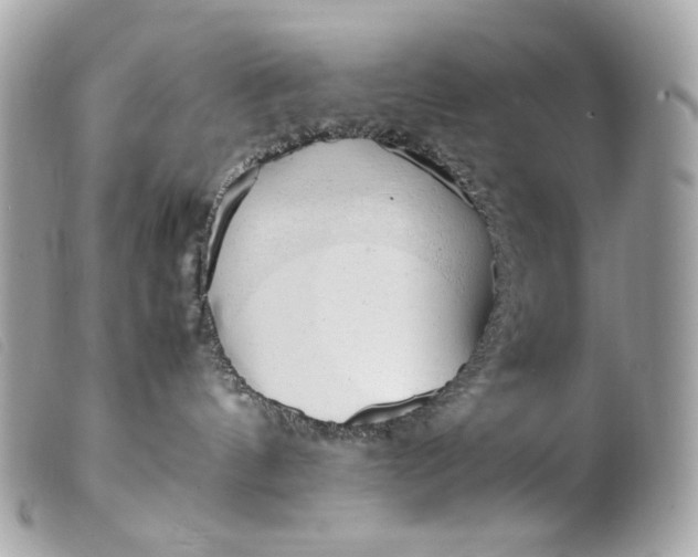 X0000099550144200805301528