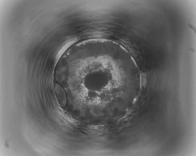 X0000099550147200805301527