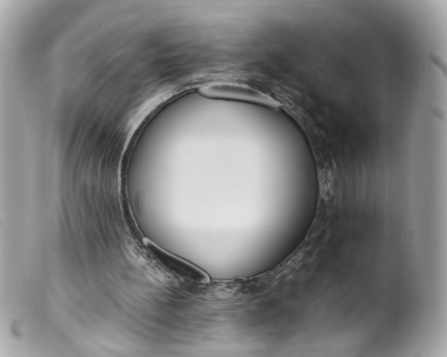 X0000099550148200805301528