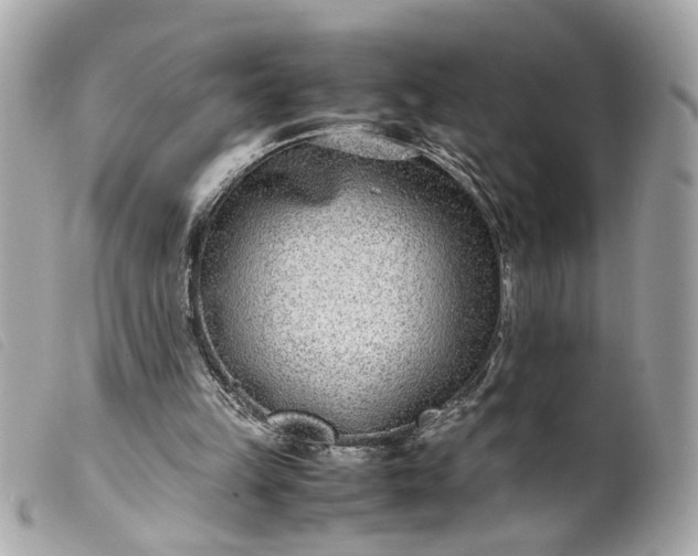 X0000099550149200805301528