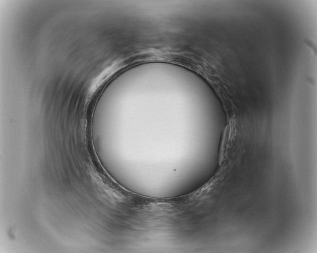 X0000099550150200805301528