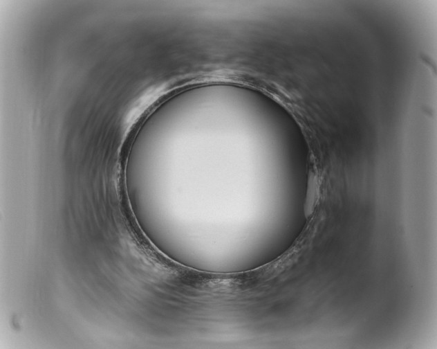 X0000099550152200805301528