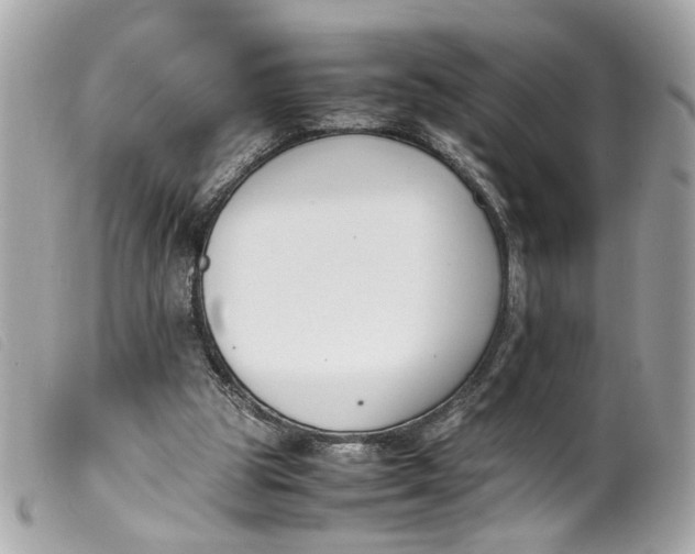 X0000099550153200805301528