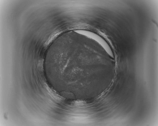 X0000099550154200805301528