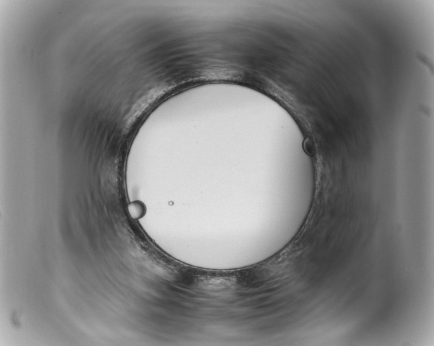 X0000099550155200805301528