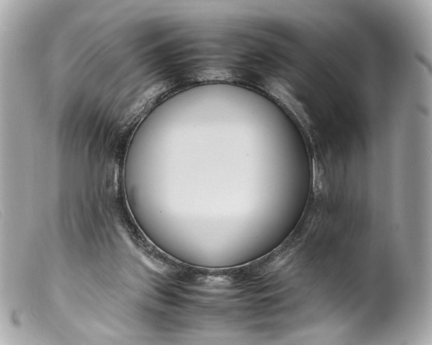 X0000099550157200805301528