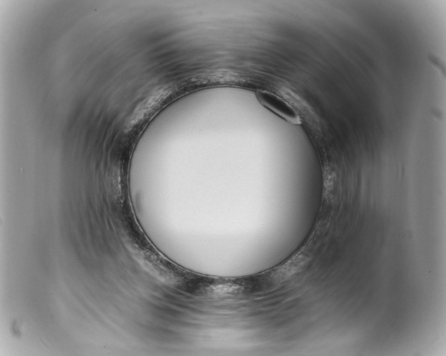 X0000099550158200805301528