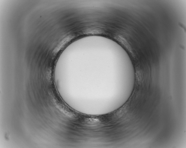 X0000099550159200805301528