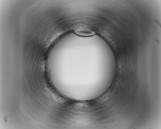 X0000099550160200805301528